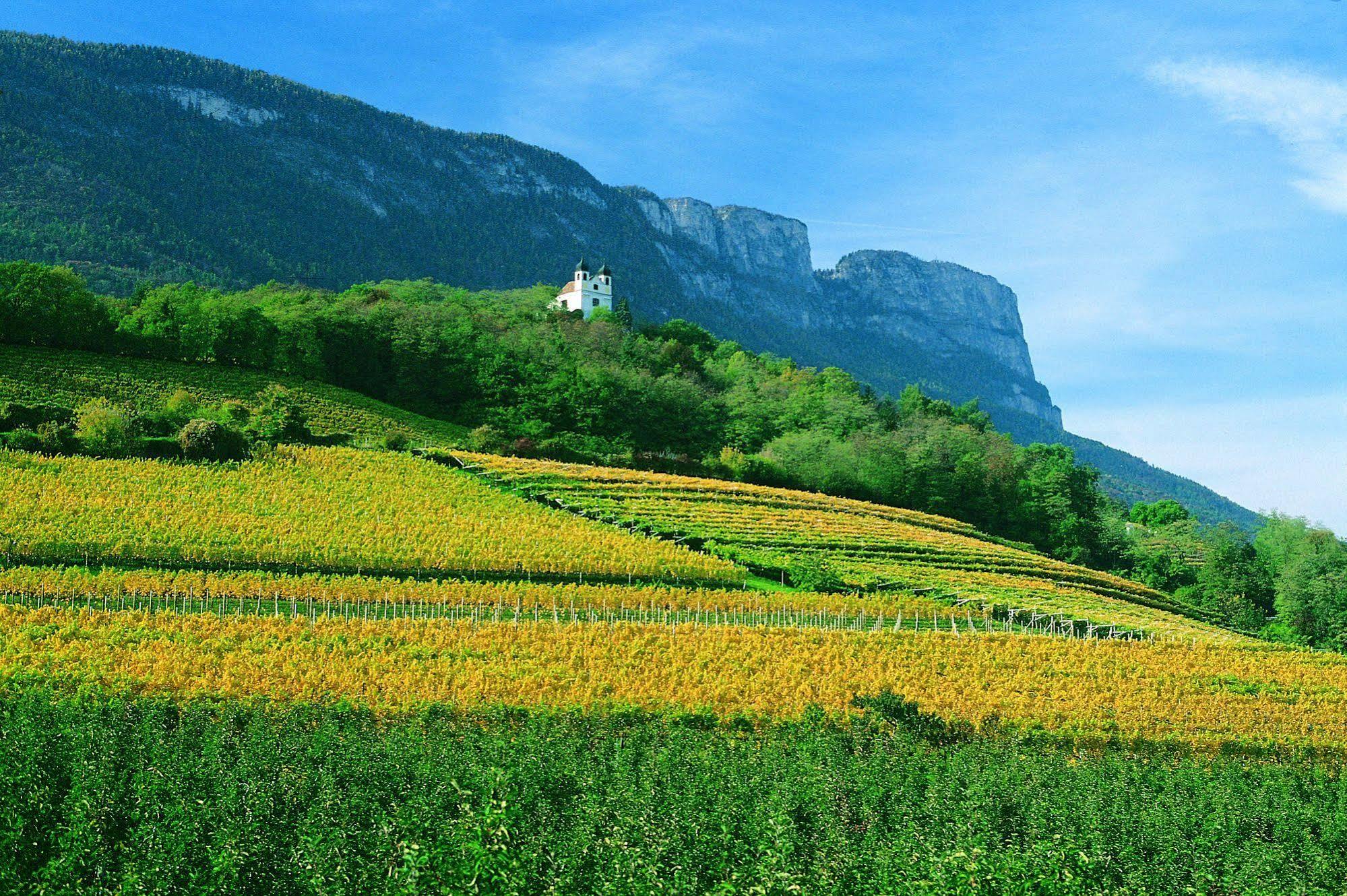 Hotel Gasthof Wastl Appiano Sulla Strada Del Vino Extérieur photo