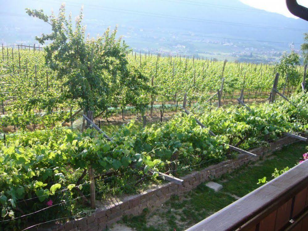 Hotel Gasthof Wastl Appiano Sulla Strada Del Vino Extérieur photo